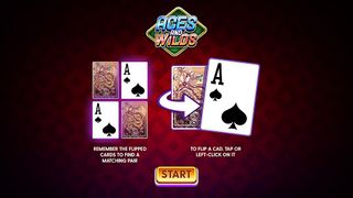 Aces and Wilds - Screenshot 3