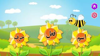 Learn Urdu Grammar - Screenshot 3