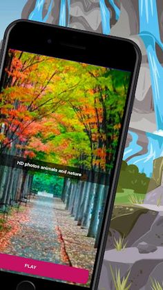 Animals and Nature - HD Photo - Screenshot 4