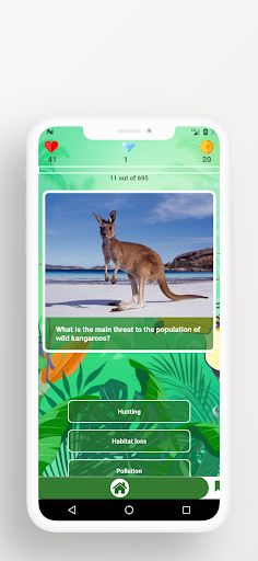 Animal Quiz - Screenshot 3