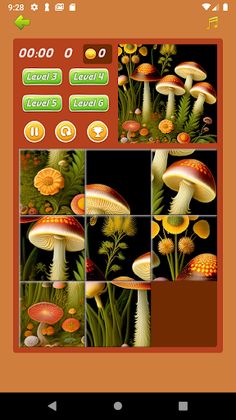 Sliding Puzzle Games - Screenshot 3