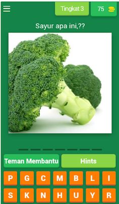 NAMA SAYURAN - Screenshot 3