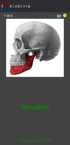 206 Human Bones Challenge - Screenshot 3