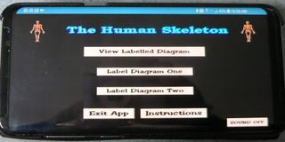 Label That Diagram - Human Ske - Screenshot 2