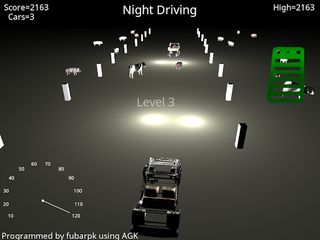 My Night Driving - Screenshot 3