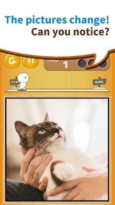 change cats -a-ha!experience- - Screenshot 1