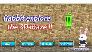 Rabbit explore the 3D maze!! - Screenshot 3