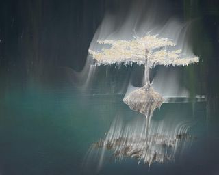 Ring Lord: Shadow ghost Camera - Screenshot 1