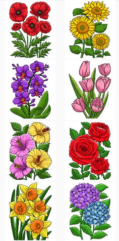 Flowers Adult Coloring Book - Screenshot 2