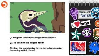 Rebound: Beating Concussions - Screenshot 1