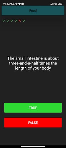 True or false quiz - Screenshot 4