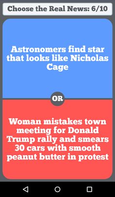 Fake News Test - Screenshot 3