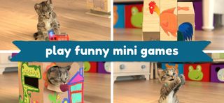 Little Kitten: My Favorite Cat - Screenshot 2