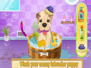 Cute Pet Dog Training Care - Screenshot 2