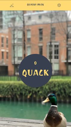 Quacky Duck - Screenshot 1