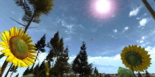 VR Forest Relaxation 1 - Screenshot 1