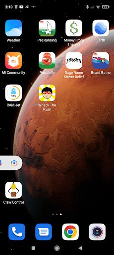 WHACK THE RYAN - Screenshot 3