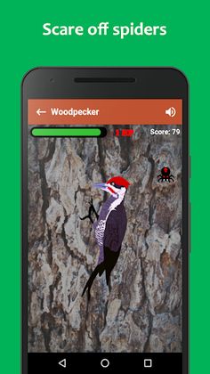 Woodpecker simulator - Screenshot 2