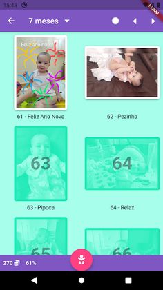 Flora: Álbum de Figurinhas V. - Screenshot 2