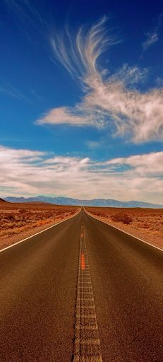 Vibrant tulip fields - Screenshot 2