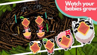 Hungry Birds - Screenshot 3