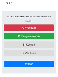ProgrammierQuiz - Screenshot 2