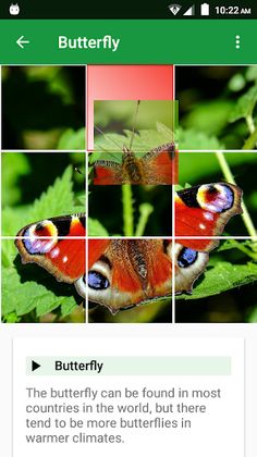 Wild Animals Puzzle - Screenshot 2