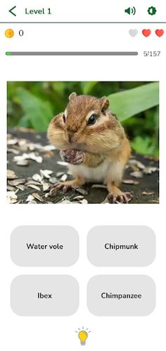 Animal Game - Screenshot 4