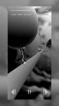 Journey Through Cytoplasm - Screenshot 3