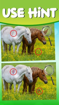 Spot the Differences : Find It - Screenshot 4