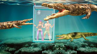 Angry crocodile beach attack - Screenshot 3