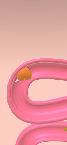 Intestine Adventure - Screenshot 1