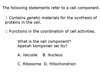 Extra Class 1 - Screenshot 2