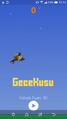 GeceKusu - Screenshot 1