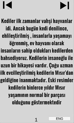 ENGLISH SEA - Screenshot 3