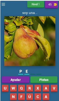 Spanish words Master - Screenshot 1