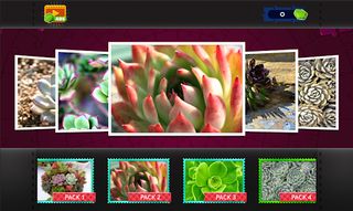 Succulent Plants Jigsaw Puzzle - Screenshot 2
