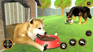 Dog Life Dog Simulator Games - Screenshot 3