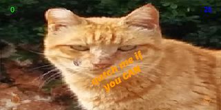 qatchme - Screenshot 2