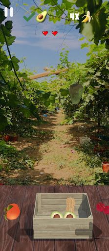 Fruit Catcher - Screenshot 4