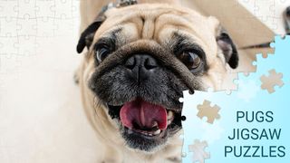 Pugs jigsaw puzzles games - Screenshot 2