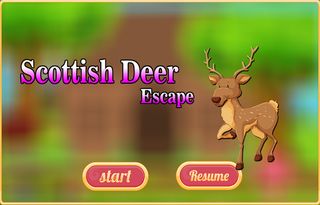 Free New Escape Game 98 Scotti - Screenshot 1