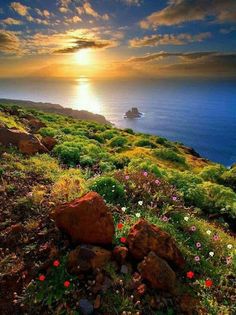 Jigsaw puzzles: Classic jigsaw - Screenshot 3