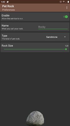Pet Rock - Screenshot 1