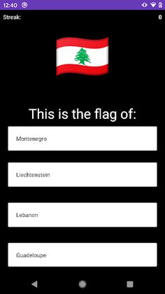 What The Flag - Screenshot 2