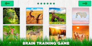 Jigsaw Puzzle Game - Puzzles - Screenshot 1