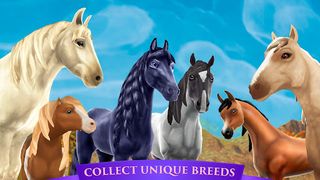 Horse Riding Tales - Wild Pony - Screenshot 1