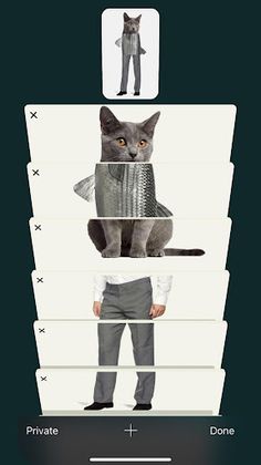 Tab Puzzle - Screenshot 1