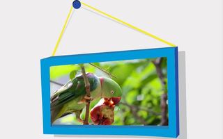 Picture Puzzle: Birds - Screenshot 3