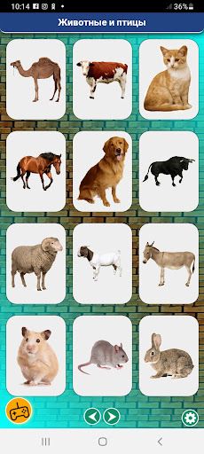 Animal and birds sounds - Screenshot 2